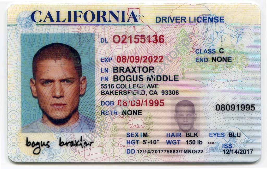 Пример сша. Driver License California 2020. Калифорния Driver License. Водительские права Калифорния. Американский ID.