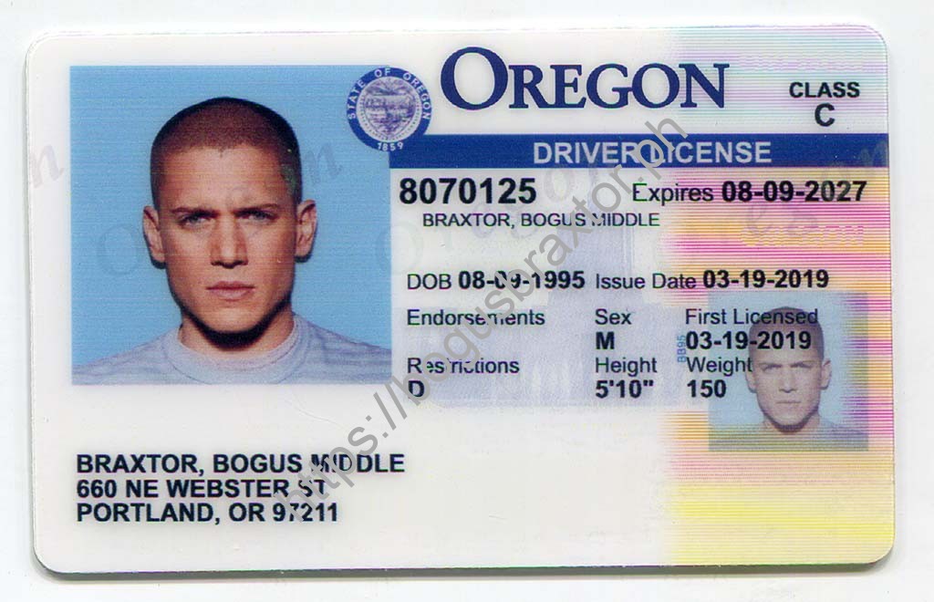 oregon drivers license check